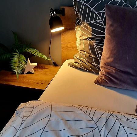 זנוימו Apartman P+Z מראה חיצוני תמונה